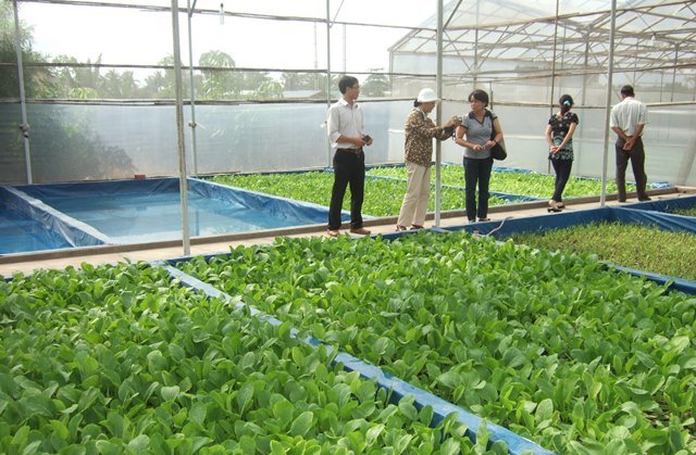 Khảo sát học tập các mô hình hợp tác xã nông nghiệp công nghệ cao  Tin tức  sự kiện  Cổng thông tin điện tử tỉnh Thái Nguyên